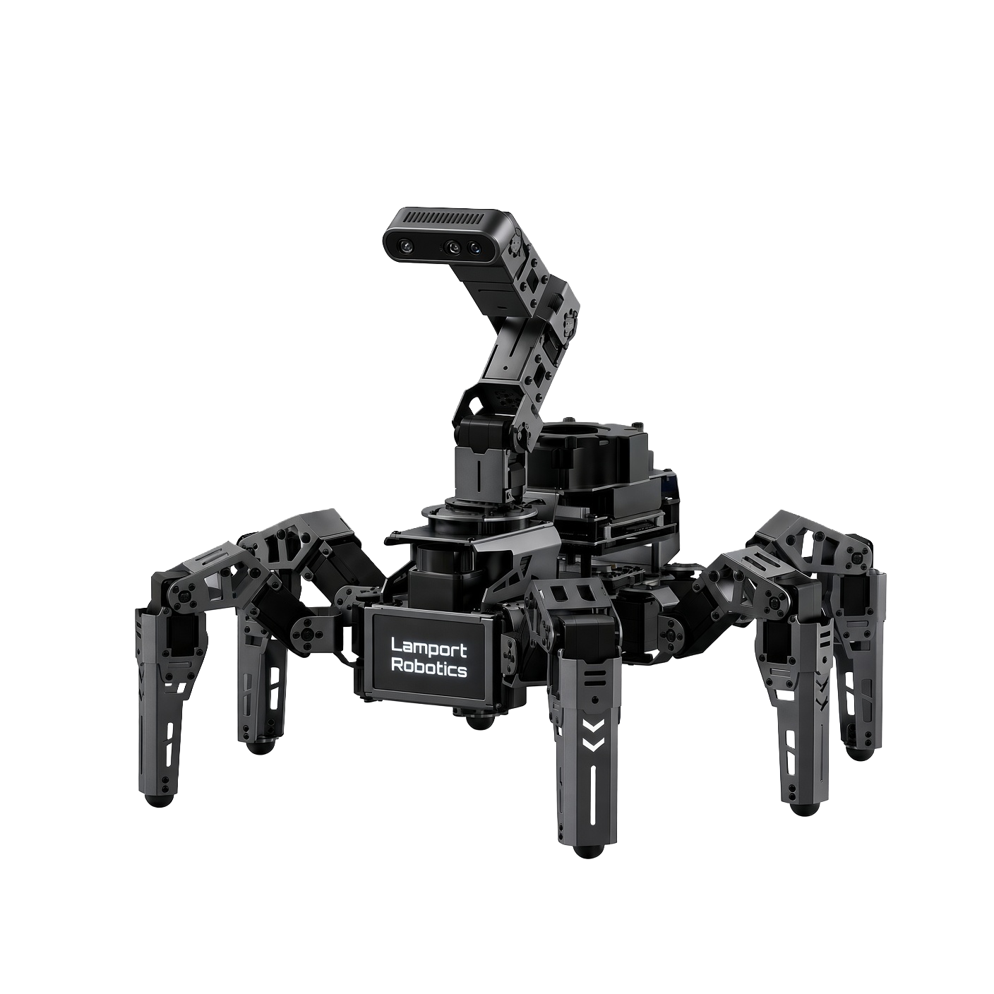 Pincer1 seen from the front